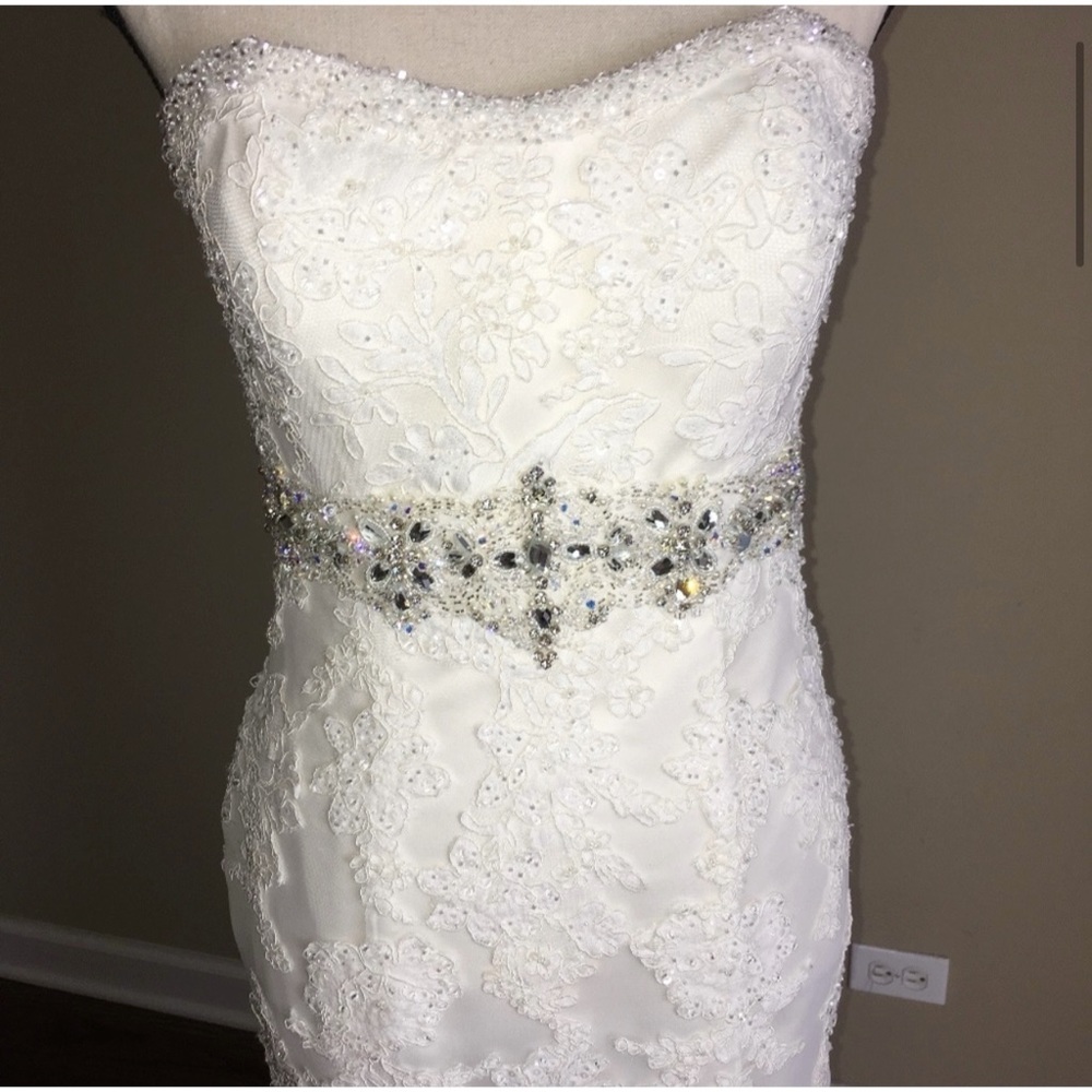 Gorgeous Wedding Dress - Picture 3 of 5
